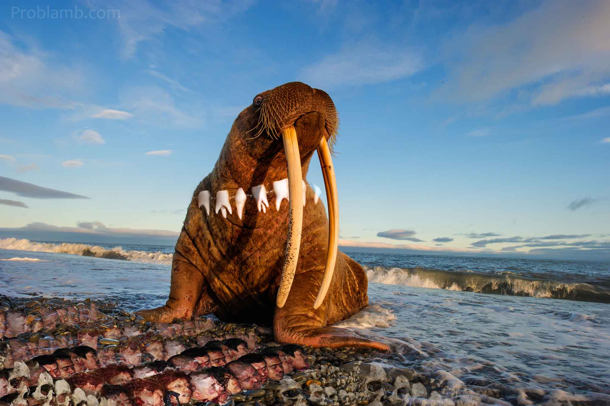 Walrus with human ivory necklace and decapitated heads